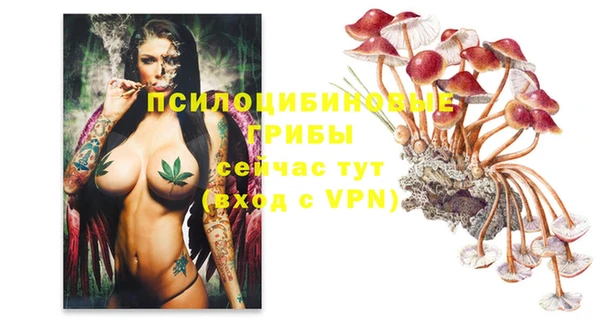 соль ск Балахна