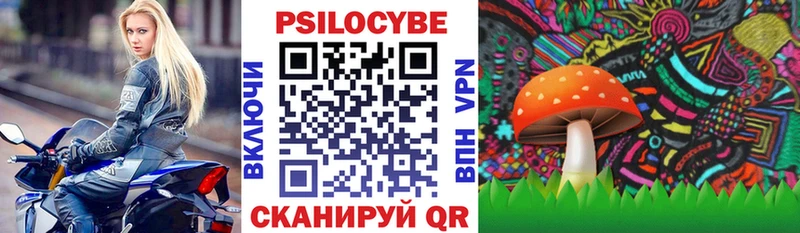 Псилоцибиновые грибы ЛСД  продажа наркотиков  Западная Двина 